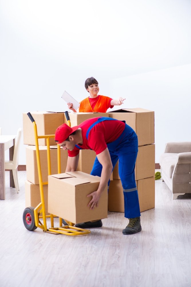 Palmerston North Movers