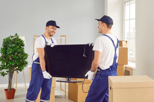 Office Movers Palmerston North