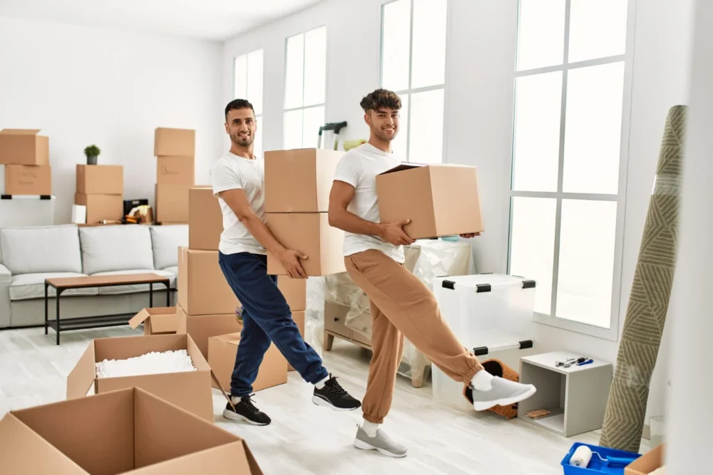 office movers in Palmerston North